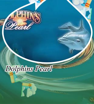 Dolphins pearl spielen kostenlos