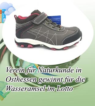 Lotto zusatzgewinn