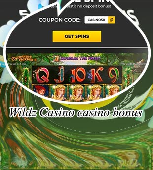 Online casino wildz